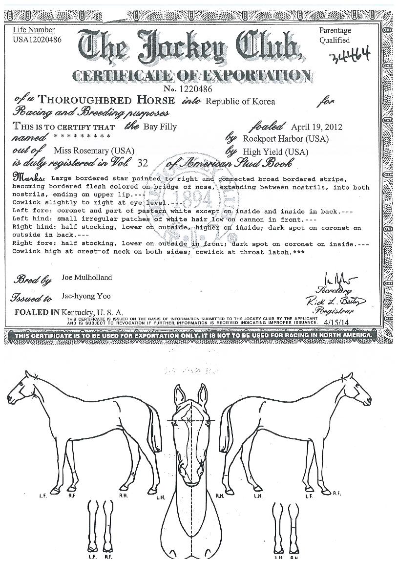 ½ºÇÁ¸µº¼Æ®ÀÇ Ãø¸é,¿ì¸é,µÞ¸é,µÎ»ó,´Ù¸®ÀÇ Æ¯Â¡µµÇØ