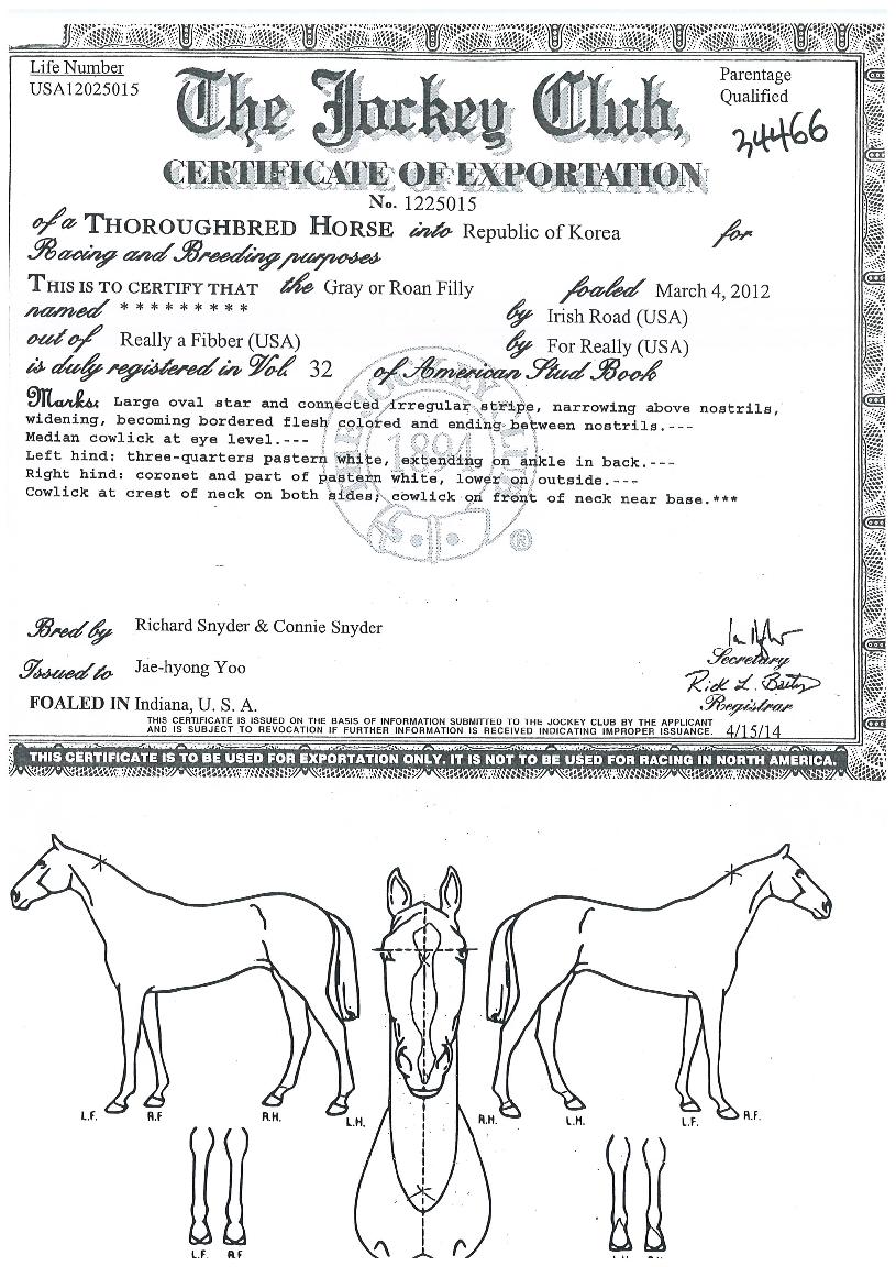 À¸¶äŬ·¡½ÄÀÇ Ãø¸é,¿ì¸é,µÞ¸é,µÎ»ó,´Ù¸®ÀÇ Æ¯Â¡µµÇØ