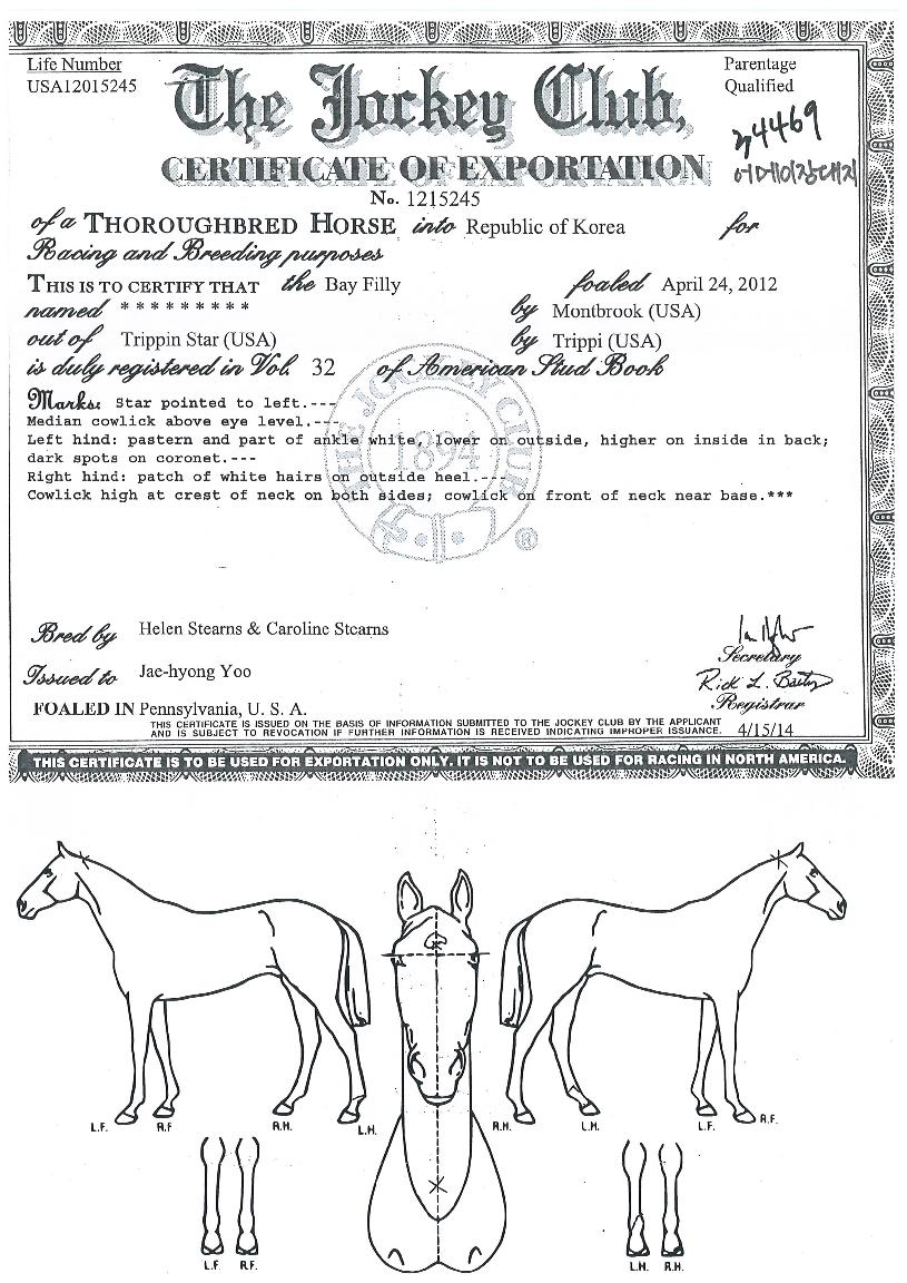 �����¡������ ����,���,�޸�,�λ�,�ٸ��� Ư¡����