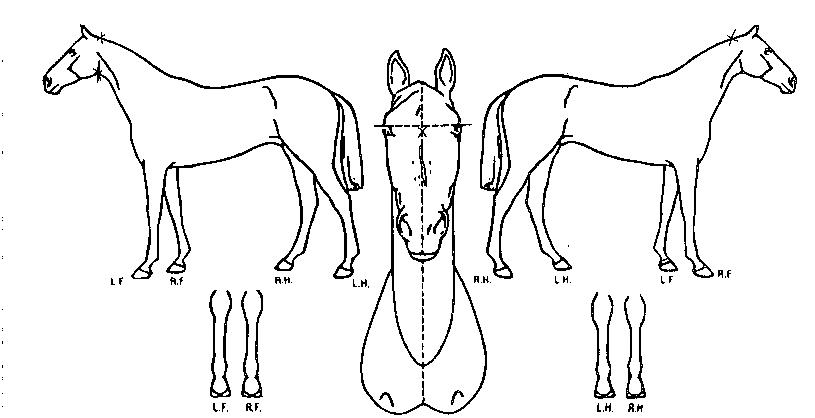 �Լ��� ����,���,�޸�,�λ�,�ٸ��� Ư¡����