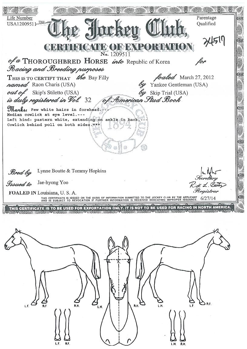 ¶ó¿ÂÄ«¸®½ºÀÇ Ãø¸é,¿ì¸é,µÞ¸é,µÎ»ó,´Ù¸®ÀÇ Æ¯Â¡µµÇØ