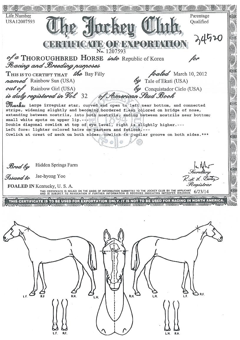 ·¹Àκ¸¿ì¼±ÀÇ Ãø¸é,¿ì¸é,µÞ¸é,µÎ»ó,´Ù¸®ÀÇ Æ¯Â¡µµÇØ