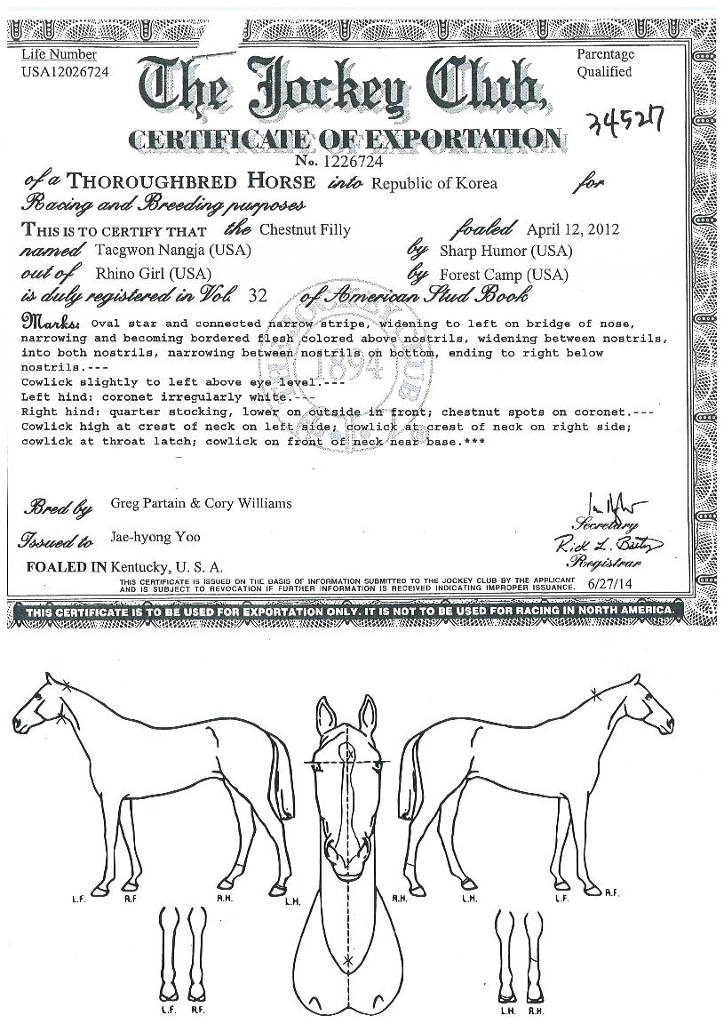 űdz¶ÀÚÀÇ Ãø¸é,¿ì¸é,µÞ¸é,µÎ»ó,´Ù¸®ÀÇ Æ¯Â¡µµÇØ