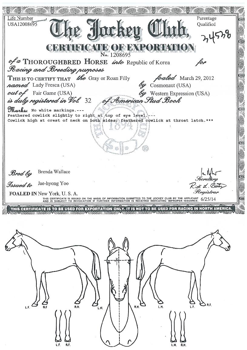 ���̵�������ī�� ����,���,�޸�,�λ�,�ٸ��� Ư¡����