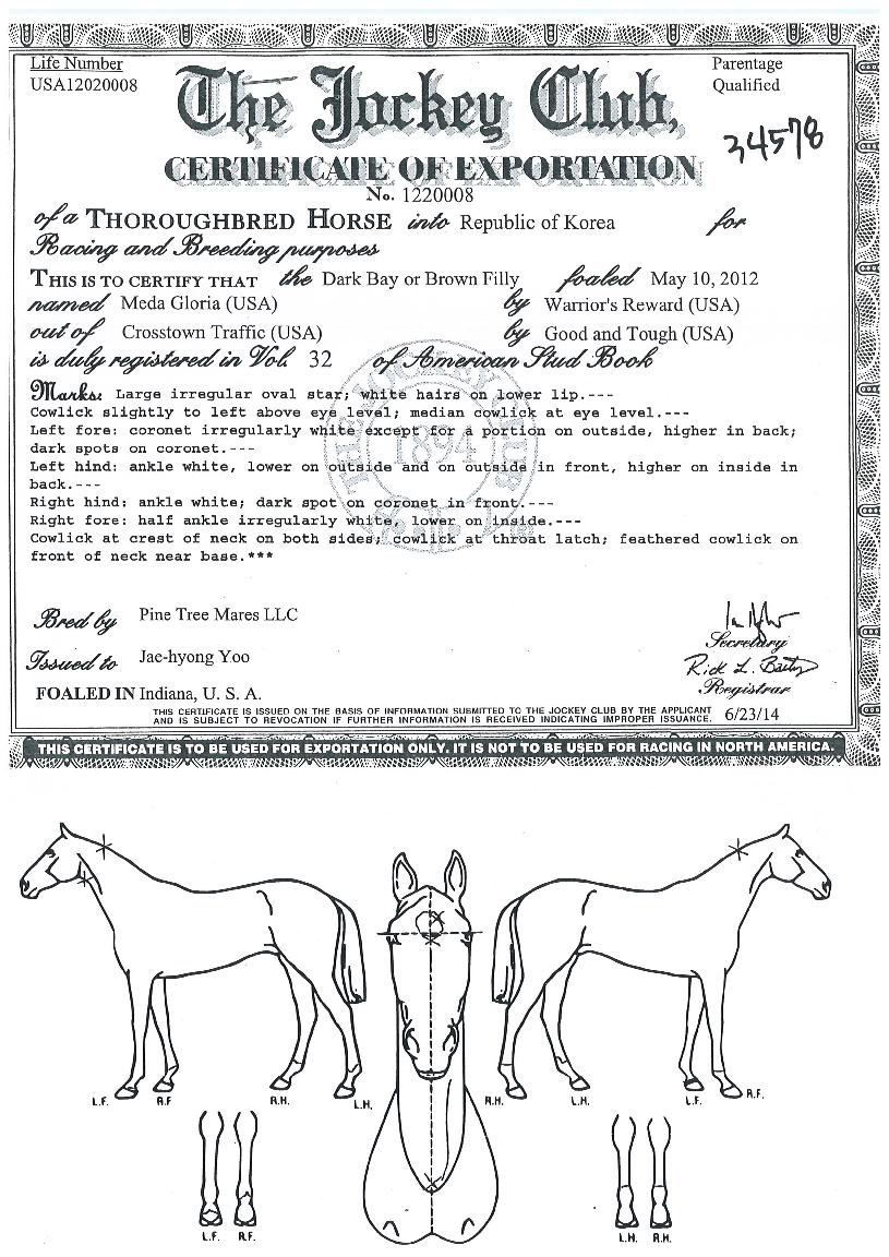 �޴ٱ۷θ����� ����,���,�޸�,�λ�,�ٸ��� Ư¡����