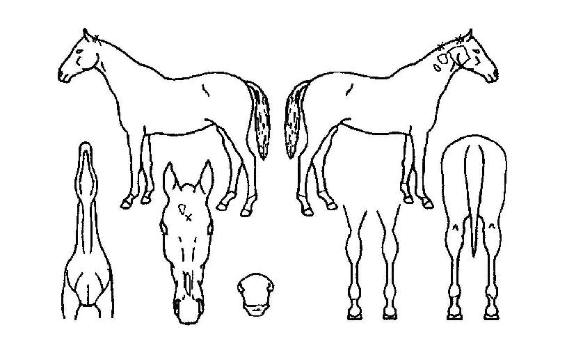 ������ȭ�� ����,���,�޸�,�λ�,�ٸ��� Ư¡����