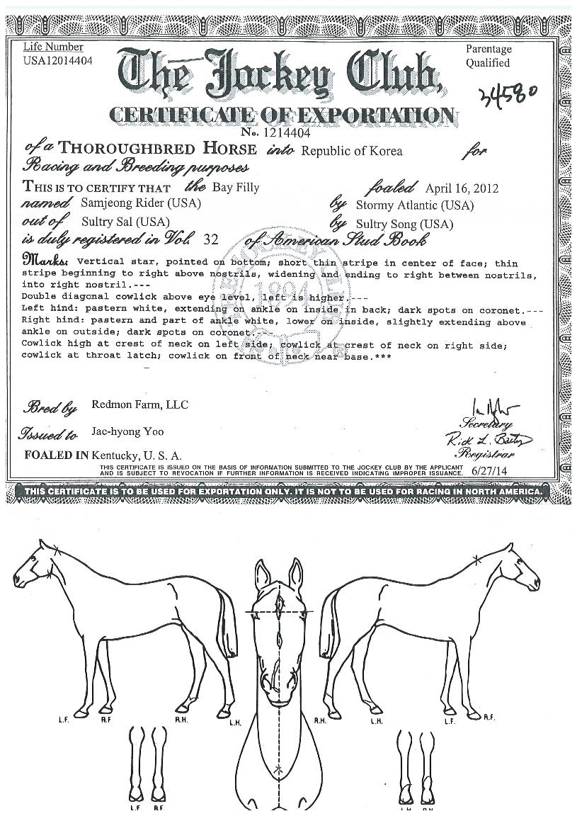 »ïÁ¤¶óÀÌ´õÀÇ Ãø¸é,¿ì¸é,µÞ¸é,µÎ»ó,´Ù¸®ÀÇ Æ¯Â¡µµÇØ