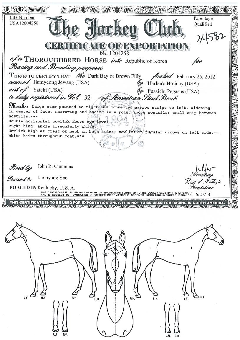 ���������� ����,���,�޸�,�λ�,�ٸ��� Ư¡����