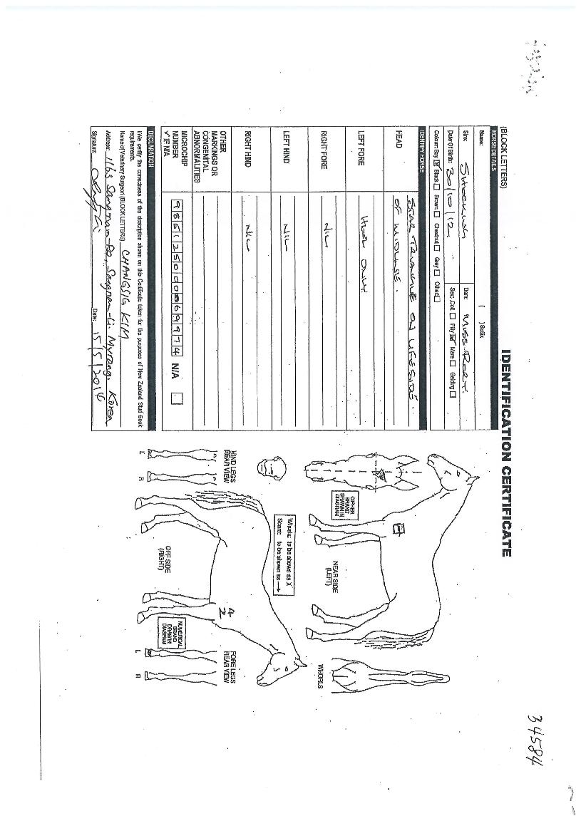 ��ŷ������ ����,���,�޸�,�λ�,�ٸ��� Ư¡����