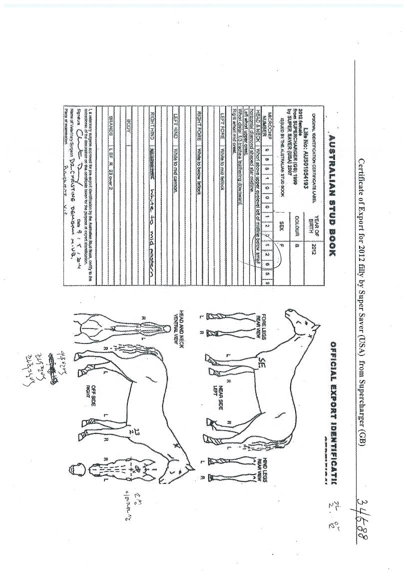 º¸Çì¹Ì¾È¼ÒµåÀÇ Ãø¸é,¿ì¸é,µÞ¸é,µÎ»ó,´Ù¸®ÀÇ Æ¯Â¡µµÇØ