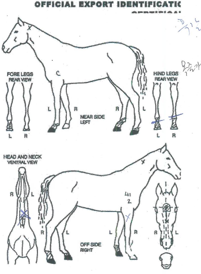 ���ӱ��� ����,���,�޸�,�λ�,�ٸ��� Ư¡����