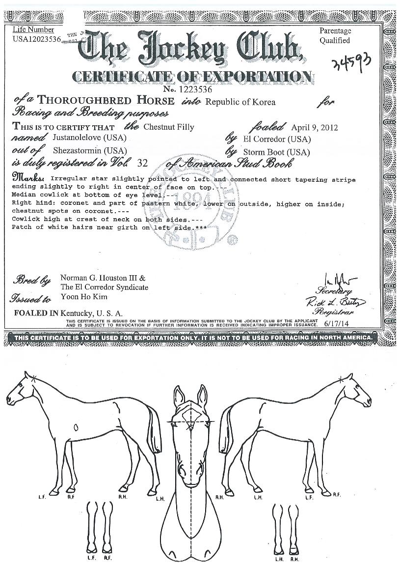 ������ɰ��� ����,���,�޸�,�λ�,�ٸ��� Ư¡����