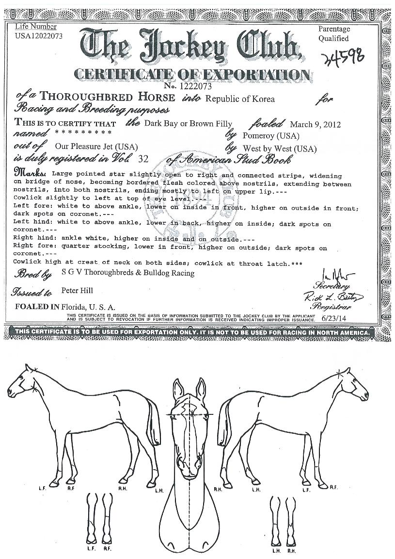 �ٷ��������� ����,���,�޸�,�λ�,�ٸ��� Ư¡����