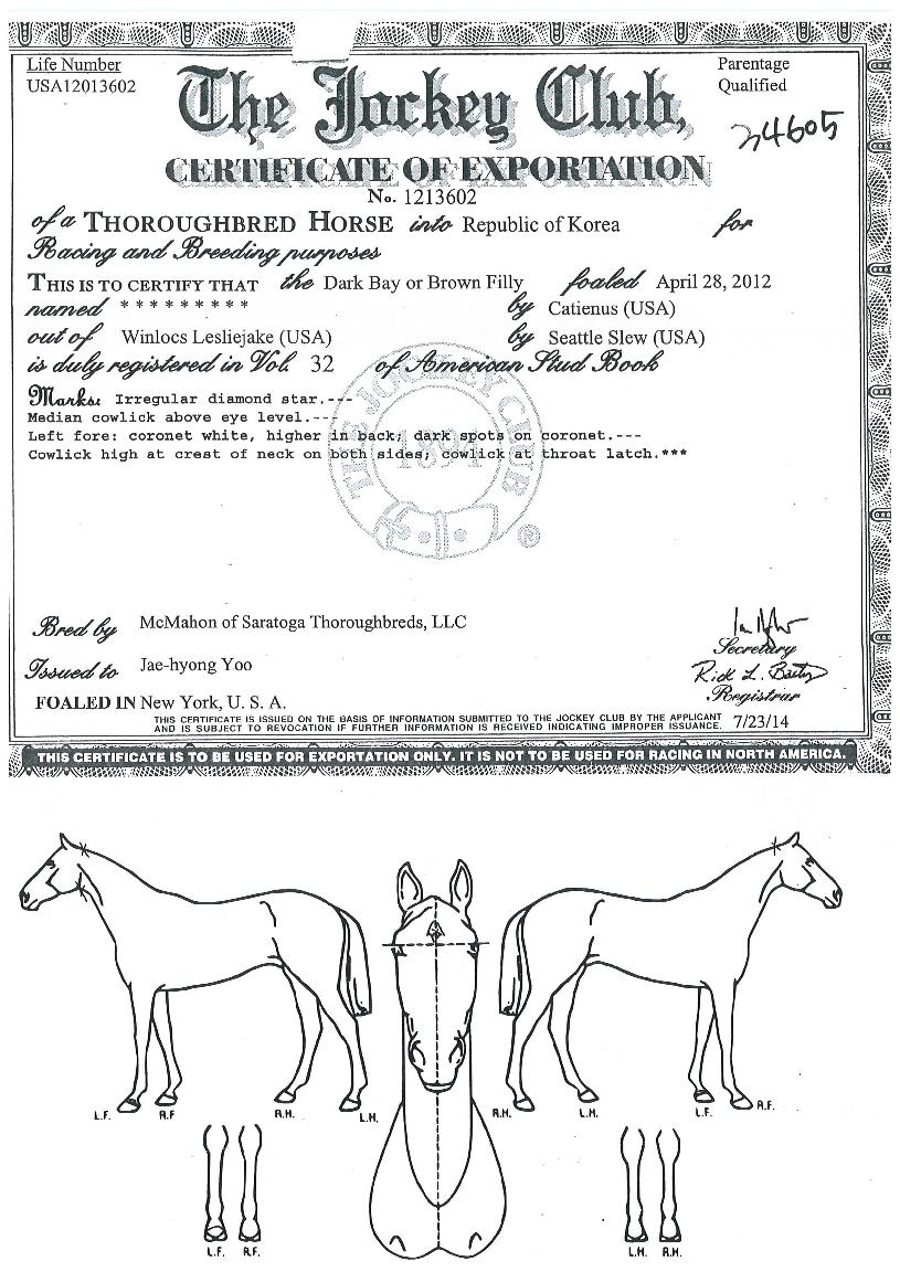 ±×¶ó¿îµå·ê·¯ÀÇ Ãø¸é,¿ì¸é,µÞ¸é,µÎ»ó,´Ù¸®ÀÇ Æ¯Â¡µµÇØ