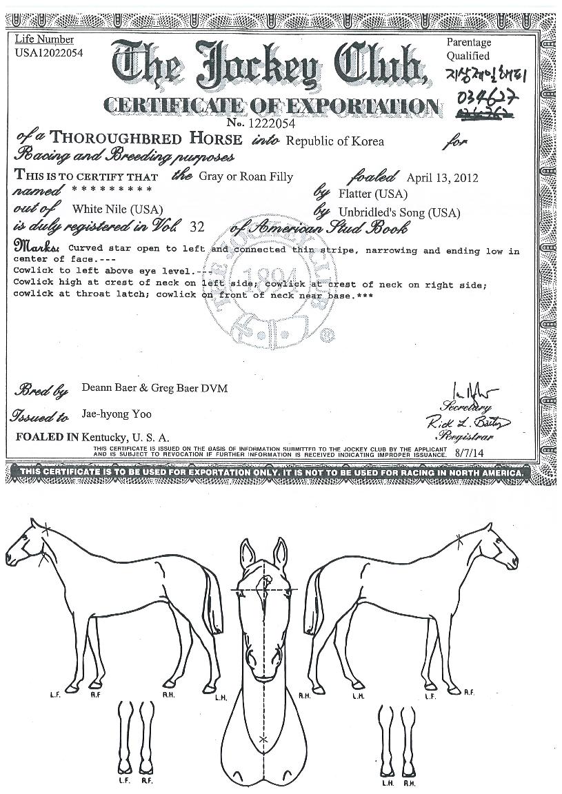 �������������� ����,���,�޸�,�λ�,�ٸ��� Ư¡����