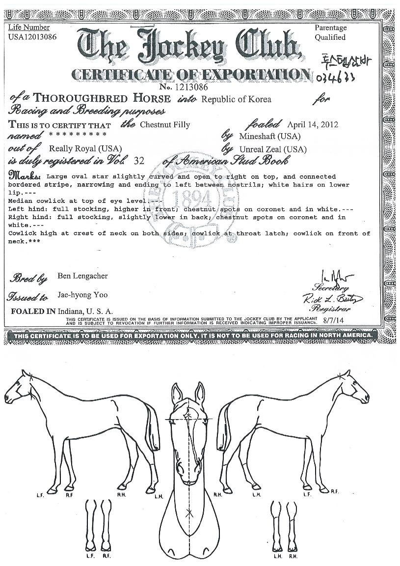 �����ܻ���� ����,���,�޸�,�λ�,�ٸ��� Ư¡����