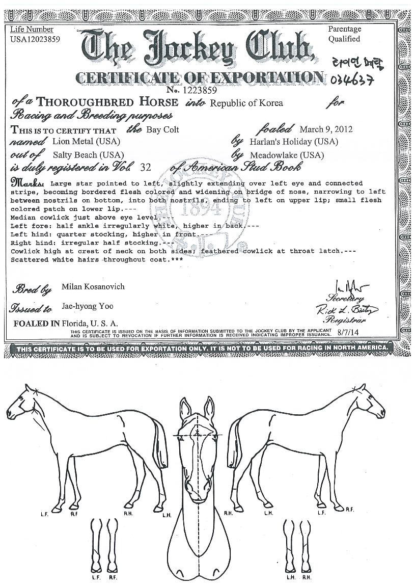 ���̾��Ż�� ����,���,�޸�,�λ�,�ٸ��� Ư¡����