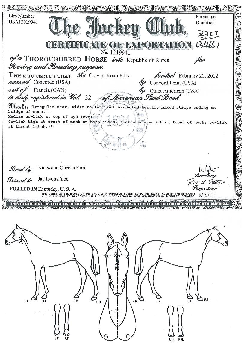 ÄáÄڵ奱ÀÇ Ãø¸é,¿ì¸é,µÞ¸é,µÎ»ó,´Ù¸®ÀÇ Æ¯Â¡µµÇØ