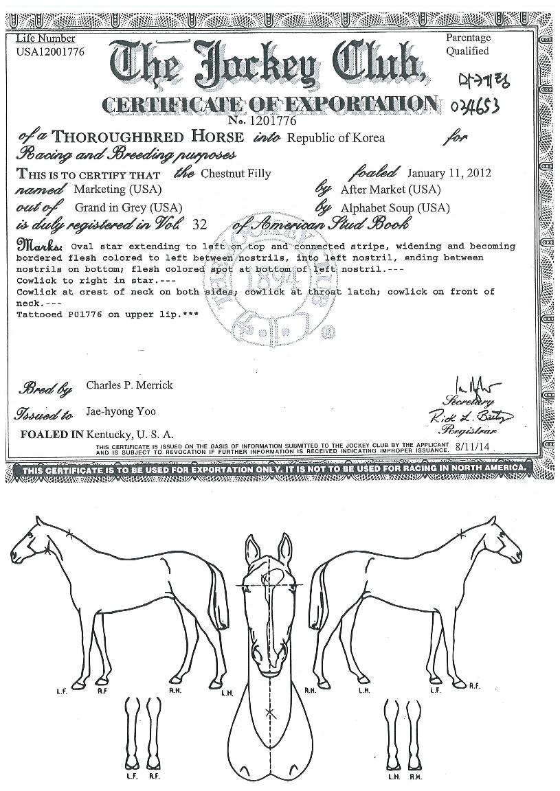 ±×·£µå¸¶ÄÉÆÃÀÇ Ãø¸é,¿ì¸é,µÞ¸é,µÎ»ó,´Ù¸®ÀÇ Æ¯Â¡µµÇØ