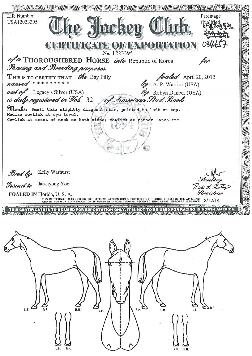 �Ƹ��ٿ���� ����,���,�޸�,�λ�,�ٸ��� Ư¡����