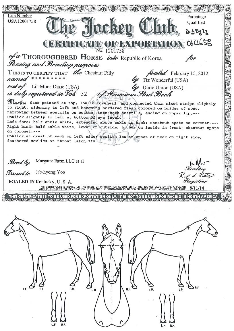 �ӽ������� ����,���,�޸�,�λ�,�ٸ��� Ư¡����