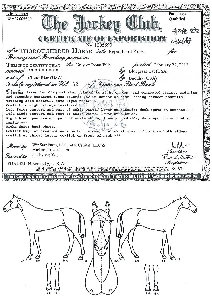 ������������ ����,���,�޸�,�λ�,�ٸ��� Ư¡����