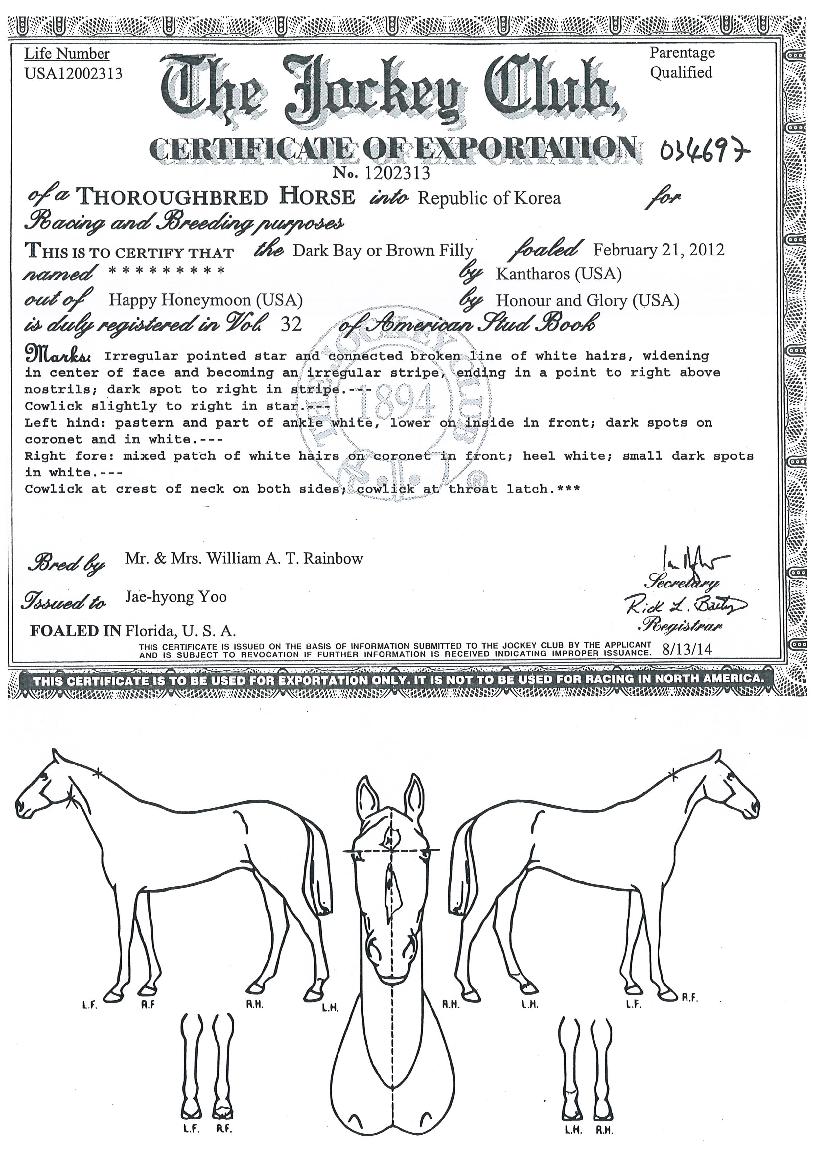 ť�ǵ��Ѿ��� ����,���,�޸�,�λ�,�ٸ��� Ư¡����