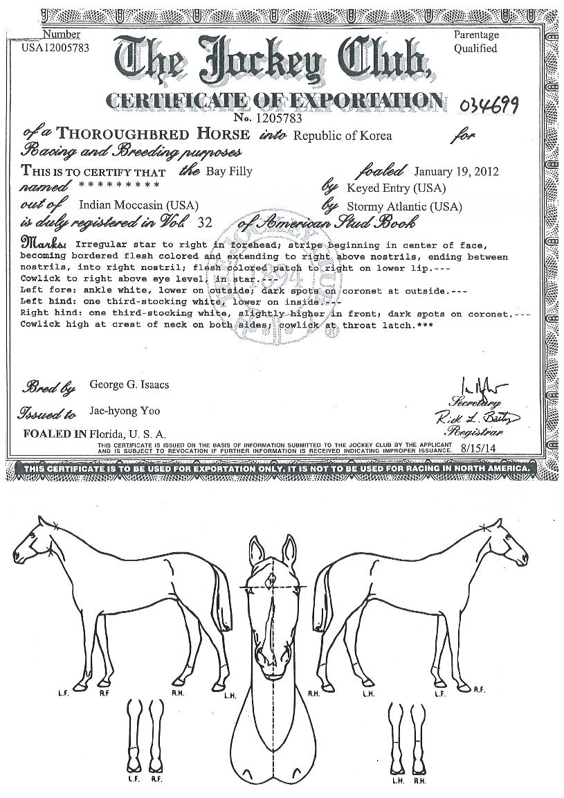 �����ε���� ����,���,�޸�,�λ�,�ٸ��� Ư¡����