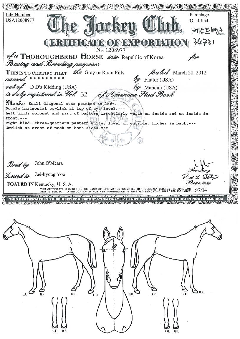 º£½ºÆ®¹ðÅ©ÀÇ Ãø¸é,¿ì¸é,µÞ¸é,µÎ»ó,´Ù¸®ÀÇ Æ¯Â¡µµÇØ