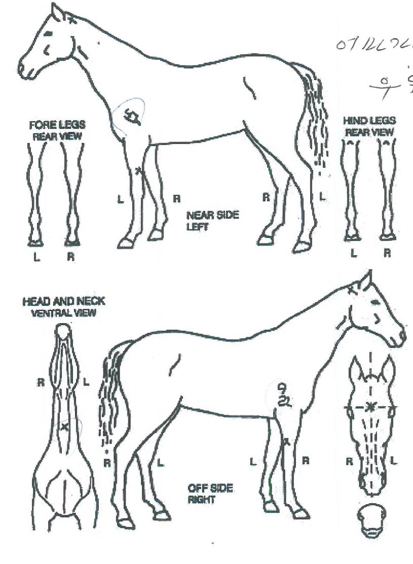 �򸶿�ƾ�� ����,���,�޸�,�λ�,�ٸ��� Ư¡����