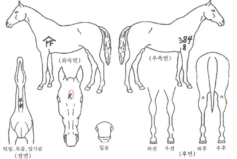 �·��� ����,���,�޸�,�λ�,�ٸ��� Ư¡����