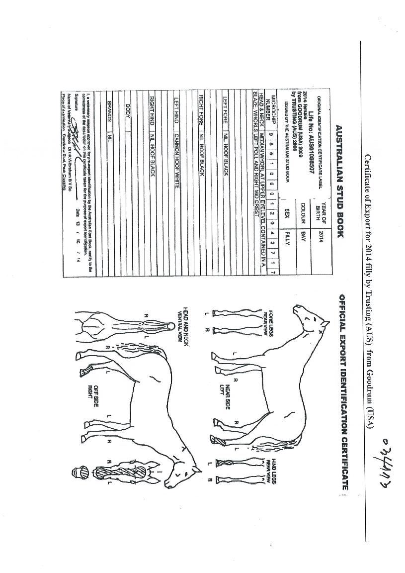 �¹���� ����,���,�޸�,�λ�,�ٸ��� Ư¡����