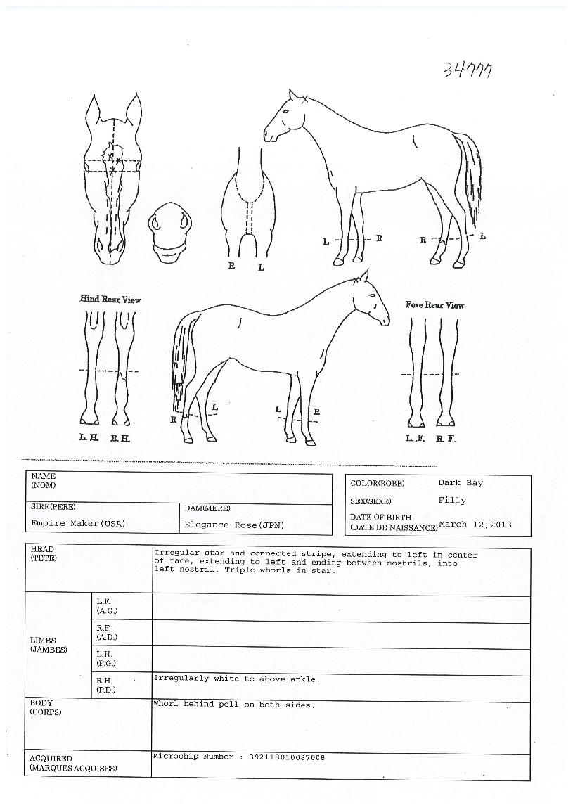 ������������ ����,���,�޸�,�λ�,�ٸ��� Ư¡����