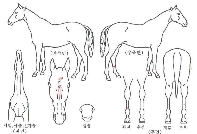 ����Ʈ������ ����,���,�޸�,�λ�,�ٸ��� Ư¡����