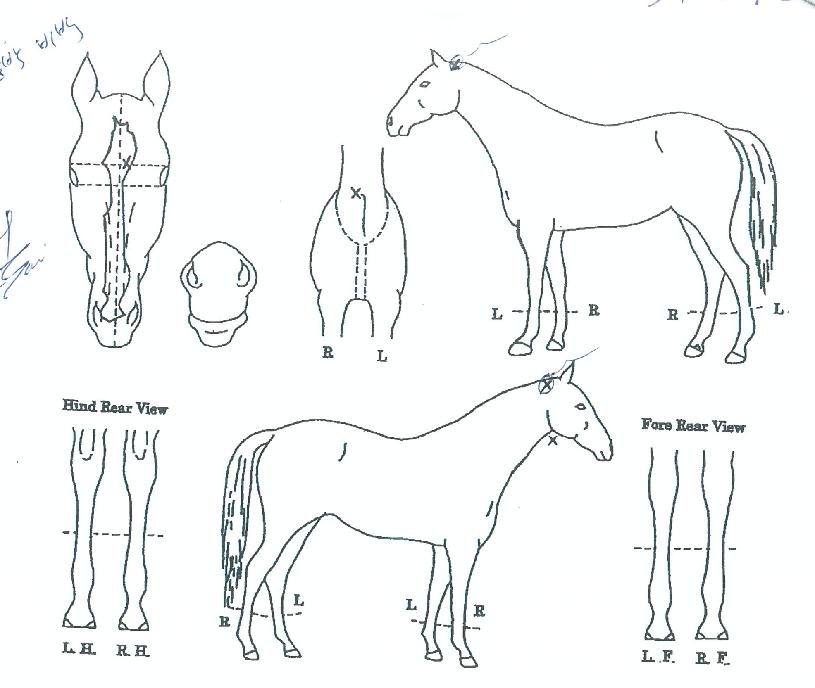 �Ŀ����� ����,���,�޸�,�λ�,�ٸ��� Ư¡����