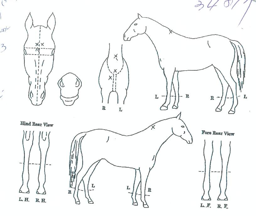 �����Ŀ��� ����,���,�޸�,�λ�,�ٸ��� Ư¡����