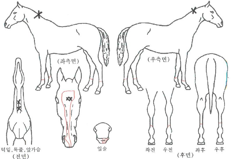 �������� ����,���,�޸�,�λ�,�ٸ��� Ư¡����