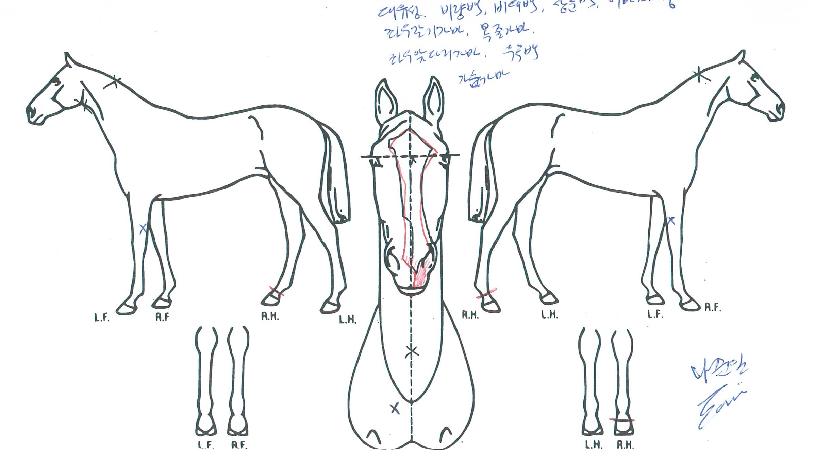 ½¬Áî°«½º¿þ±×ÀÇ Ãø¸é,¿ì¸é,µÞ¸é,µÎ»ó,´Ù¸®ÀÇ Æ¯Â¡µµÇØ