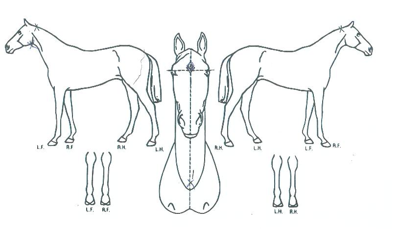 �ҿ��ũ�� ����,���,�޸�,�λ�,�ٸ��� Ư¡����