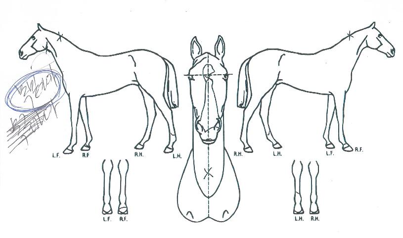 ���̴װ����� ����,���,�޸�,�λ�,�ٸ��� Ư¡����