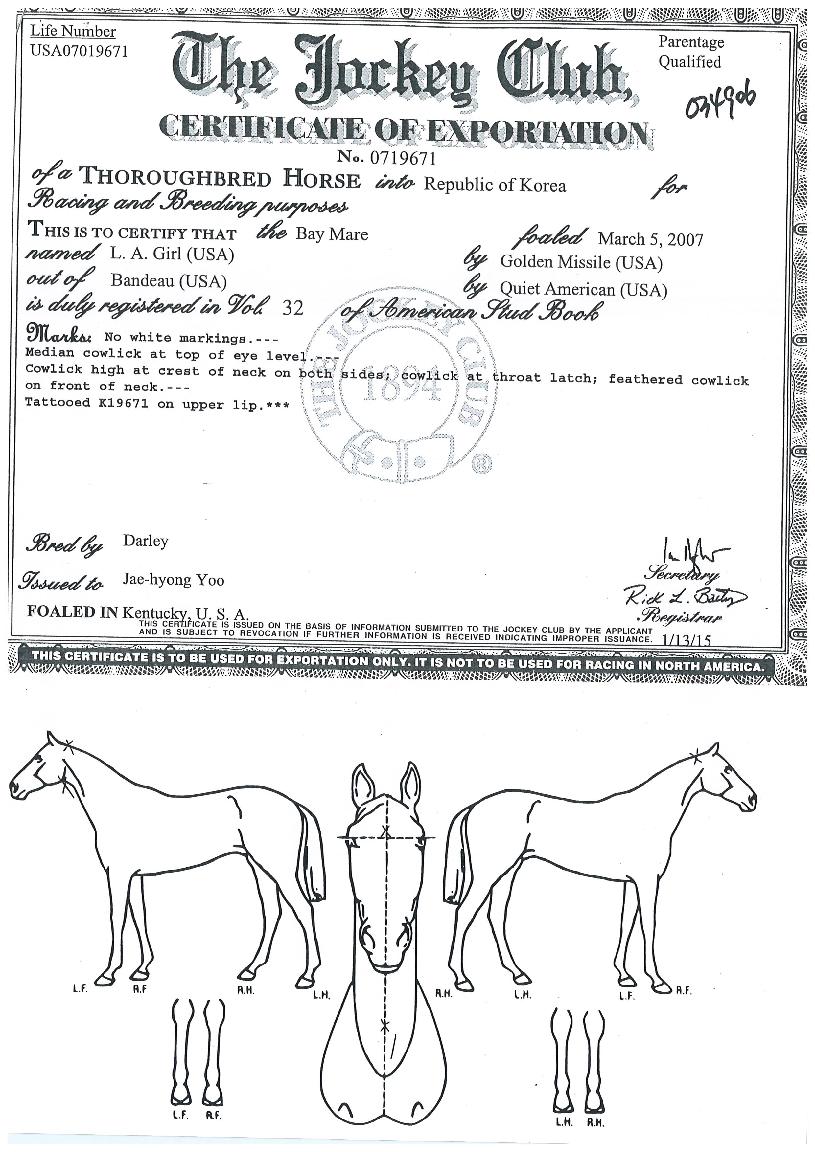 ¿¤¿¡À̰ÉÀÇ Ãø¸é,¿ì¸é,µÞ¸é,µÎ»ó,´Ù¸®ÀÇ Æ¯Â¡µµÇØ