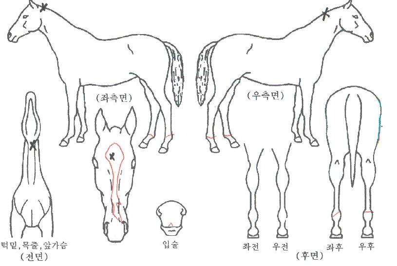 ���ͽ������� ����,���,�޸�,�λ�,�ٸ��� Ư¡����