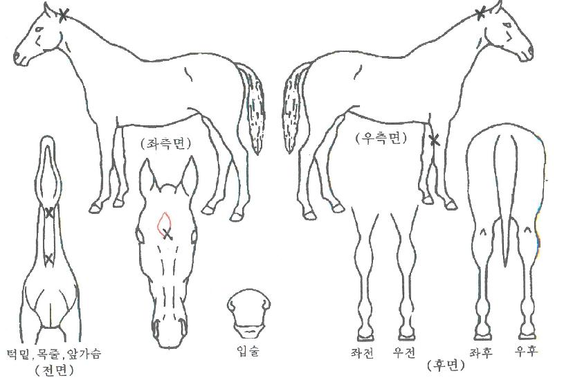 �����۵��� ����,���,�޸�,�λ�,�ٸ��� Ư¡����