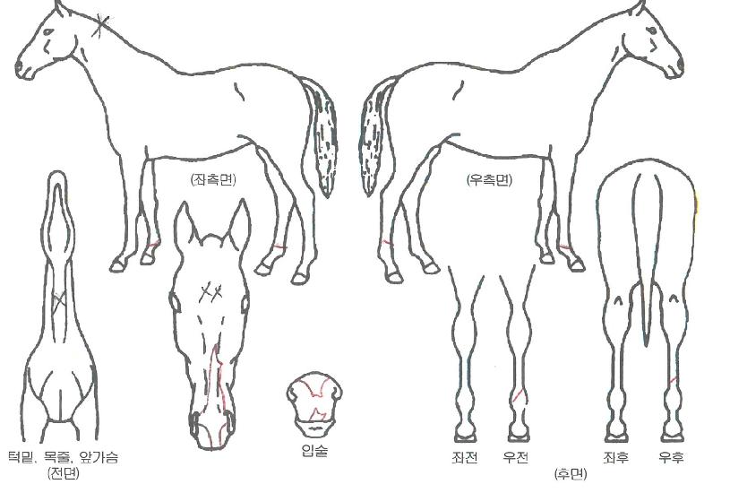 ����¡������ ����,���,�޸�,�λ�,�ٸ��� Ư¡����