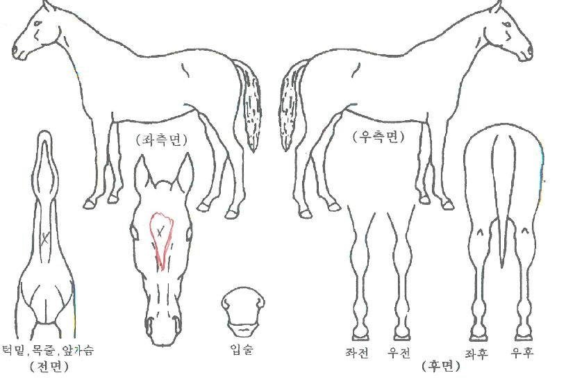 �˴��Ŀ��� ����,���,�޸�,�λ�,�ٸ��� Ư¡����