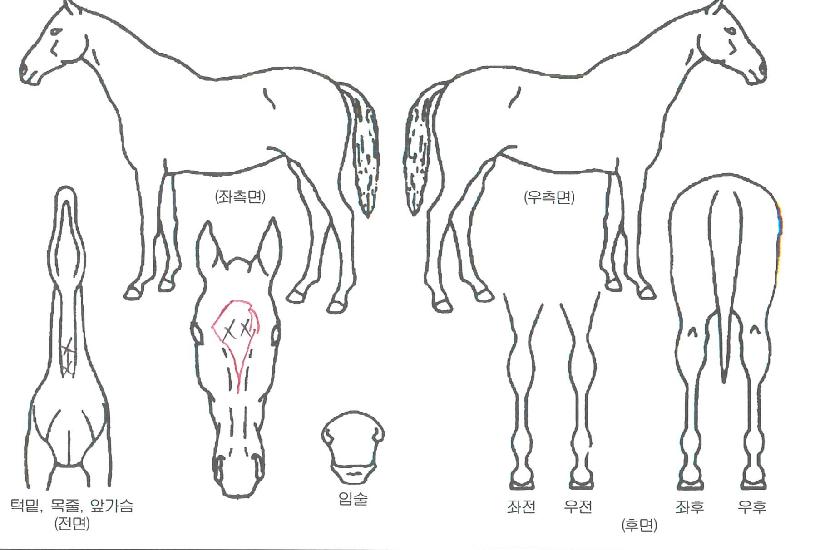 �����ġ�� ����,���,�޸�,�λ�,�ٸ��� Ư¡����