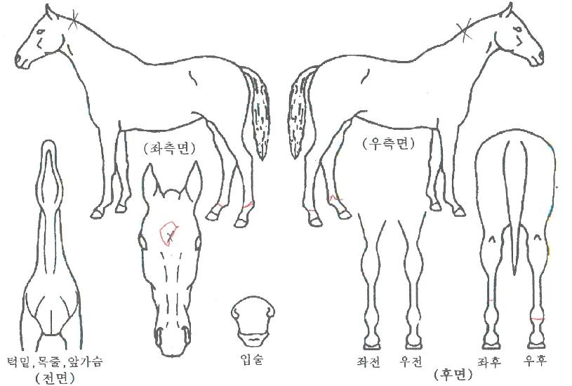 ���̽��Ǽ����� ����,���,�޸�,�λ�,�ٸ��� Ư¡����