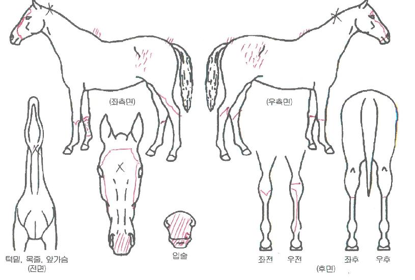 ������û���� ����,���,�޸�,�λ�,�ٸ��� Ư¡����