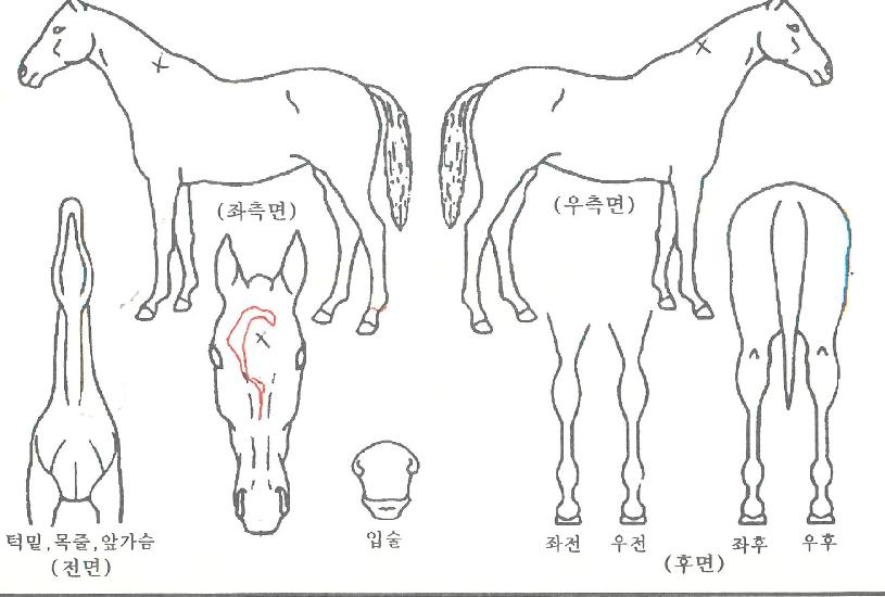 ��ũ������� ����,���,�޸�,�λ�,�ٸ��� Ư¡����