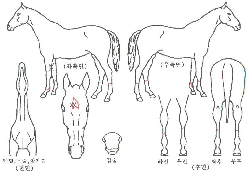 �÷���Ĺ�� ����,���,�޸�,�λ�,�ٸ��� Ư¡����